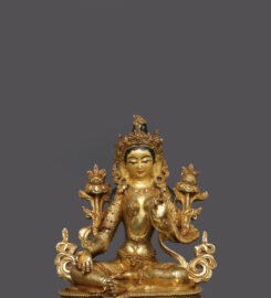 The Authentic Nepal
