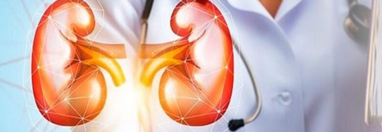 Kidney Transplant Best Hospital In India