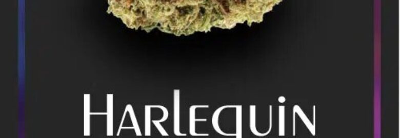 Compre productos de CBD de calidad Online con Entrega rápida y segura