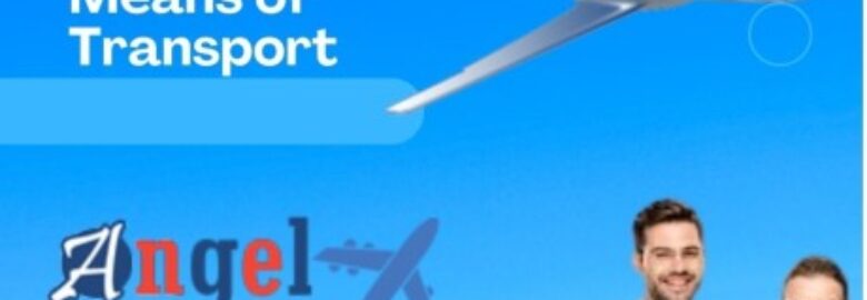 Select Angel Air Ambulance Service In Vellore With Superb Medical Equipment