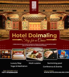 Hotel Dolmaling