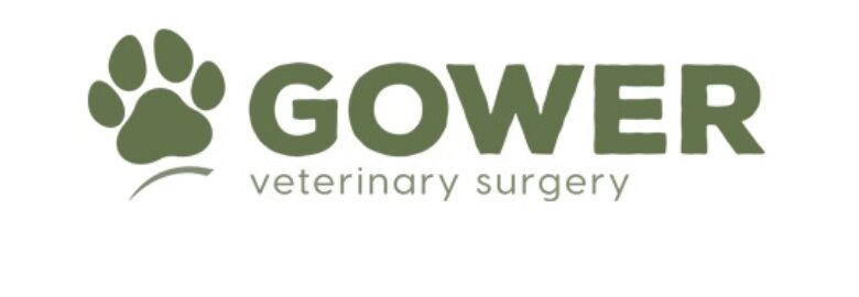 Gower Veterinary Surgery – Swansea