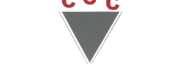 Challenger Cargo Carriers Pvt Ltd