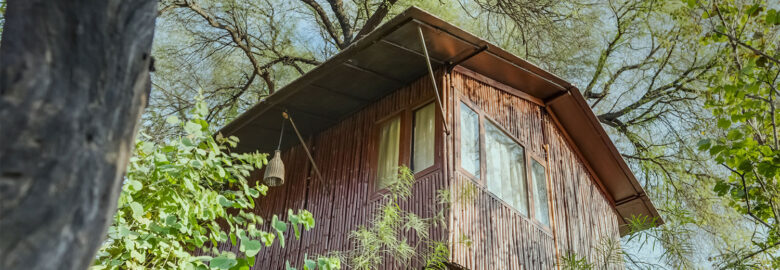 Tree House Cottages