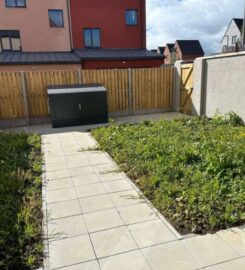 Conifer Trees & Landscaping