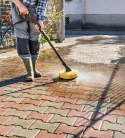 Conifer Trees & Landscaping