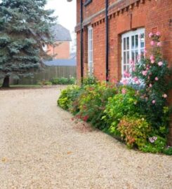 Conifer Trees & Landscaping