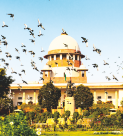 Advocate Kapil Chandna