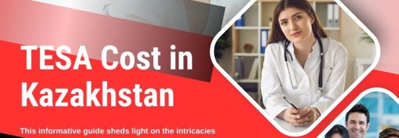 TESA Cost in Kazakhstan