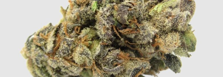 weed-mart.net
